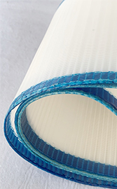 Polyester Mesh Belts